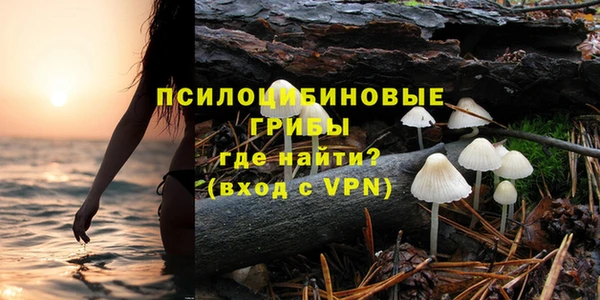 спайс Алзамай
