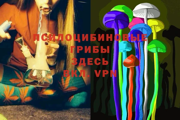 спайс Алзамай