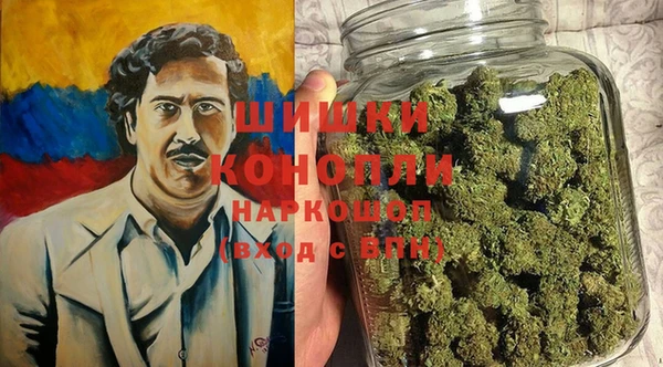 спайс Алзамай