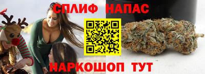 apvp Рузаевка