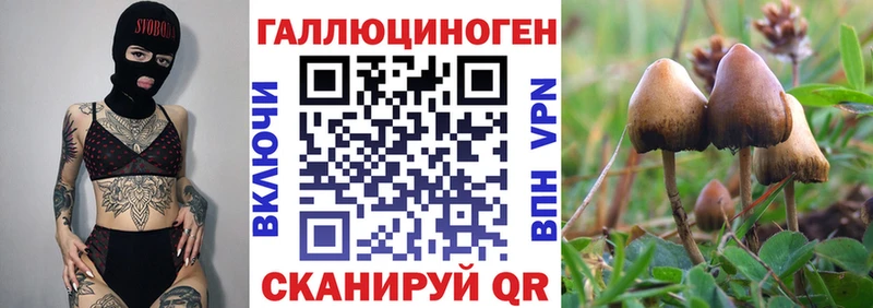 цена   Шебекино  Псилоцибиновые грибы MAGIC MUSHROOMS 