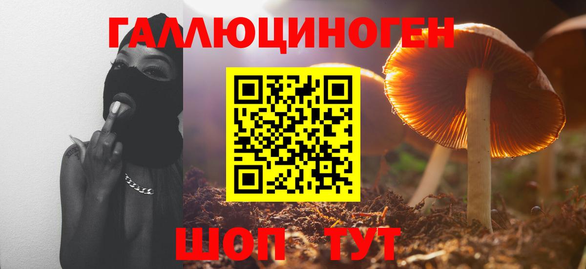 Галлюциногенные грибы GOLDEN TEACHER Шебекино