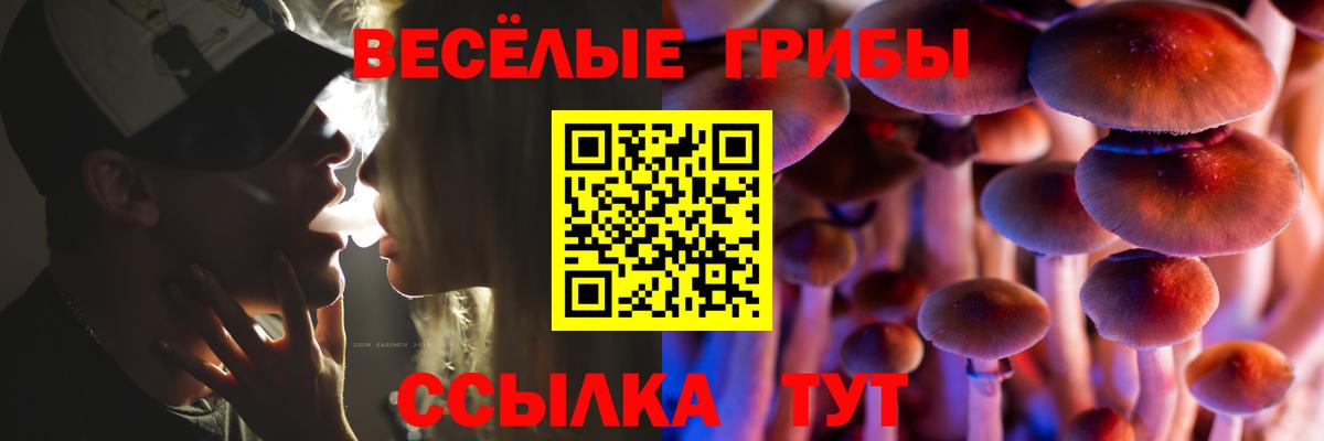 Псилоцибиновые грибы Psilocybine cubensis  Вход с VPN  Шебекино  Псилоцибиновые грибы прущие грибы 